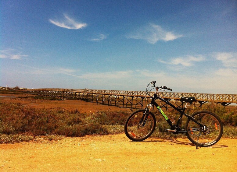 Picture 10 for Activity Faro Bike Tour through the Beautiful Ria Formosa