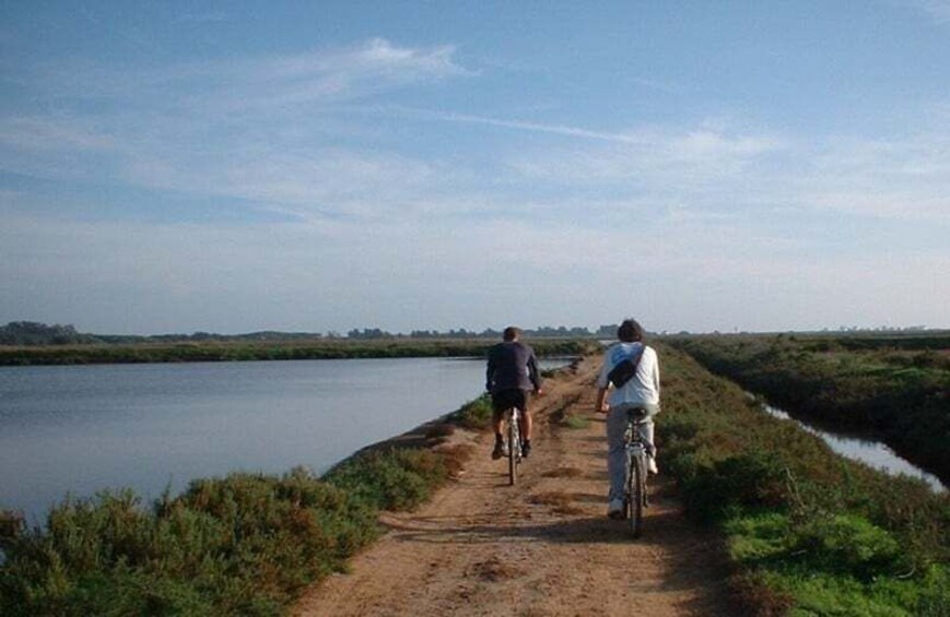 Picture 1 for Activity Faro Bike Tour through the Beautiful Ria Formosa