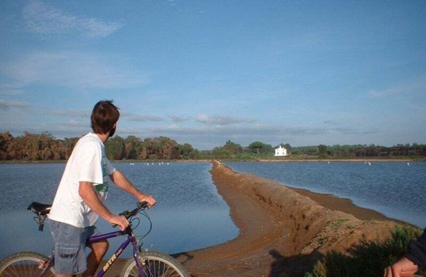 Picture 3 for Activity Faro Bike Tour through the Beautiful Ria Formosa