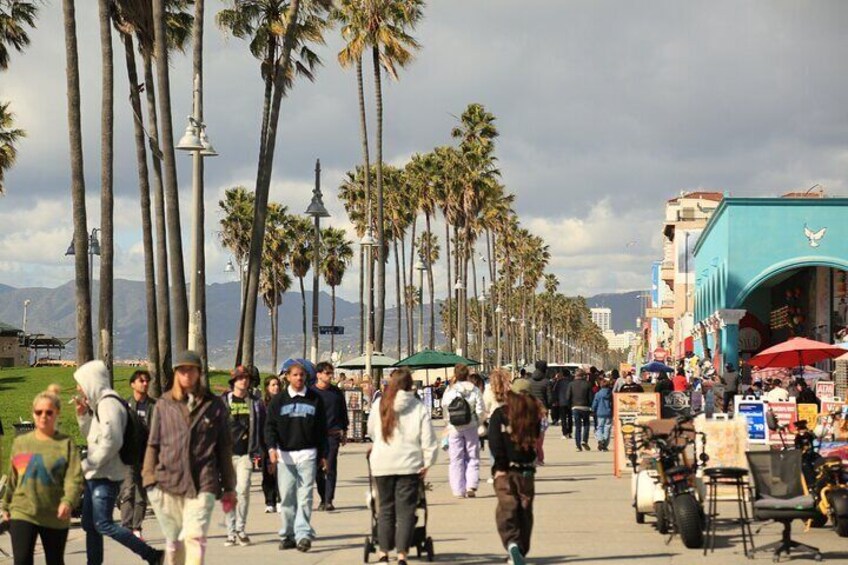 4.5 Hour Venice Beach Open Air Van Tour