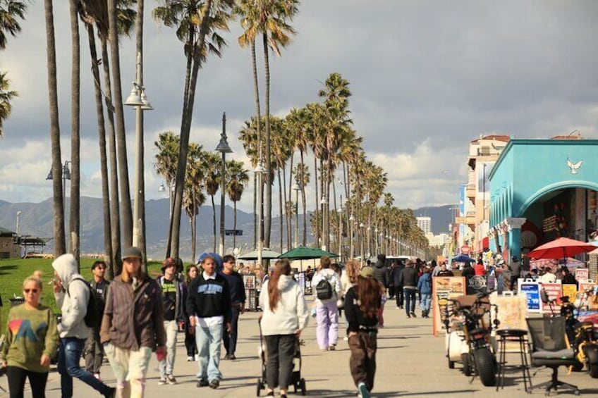 4.5 Hour Venice Beach Open Air Van Tour