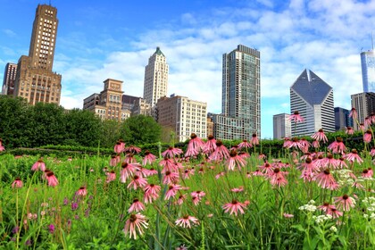 Self-Guided Chicago Walking Audio Tours