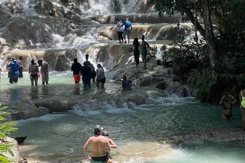 Horseback Riding and Swimming to Dunn's River from Ocho Rios 