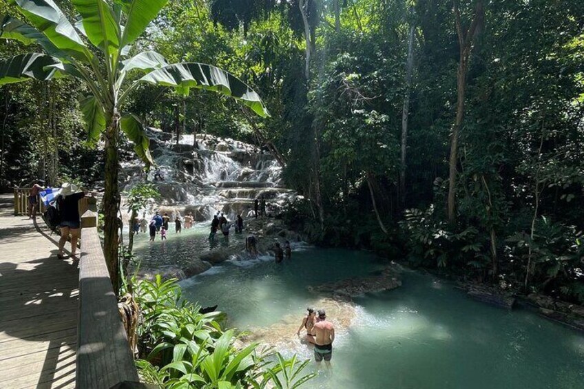 Horseback Riding and Swimming to Dunn's River from Ocho Rios