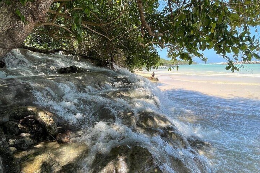 Horseback Riding/Swimming and Dunn's River from Ocho Rios