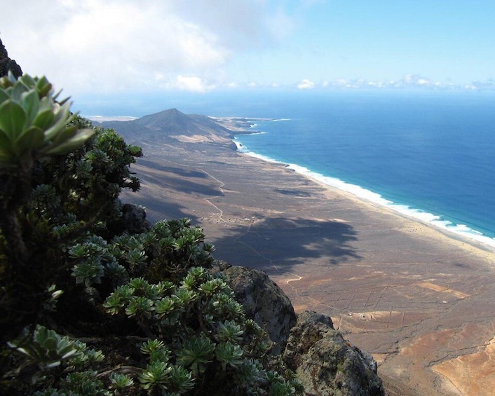 Fuerteventura: Pico de la Zarza Tour