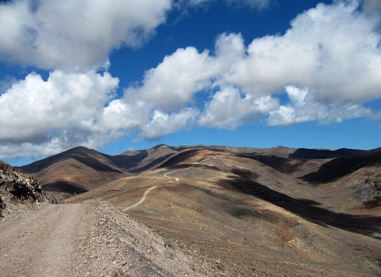 Picture 2 for Activity Fuerteventura: Pico de la Zarza Tour