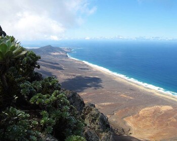 Fuerteventura: Pico de la Zarza-tur