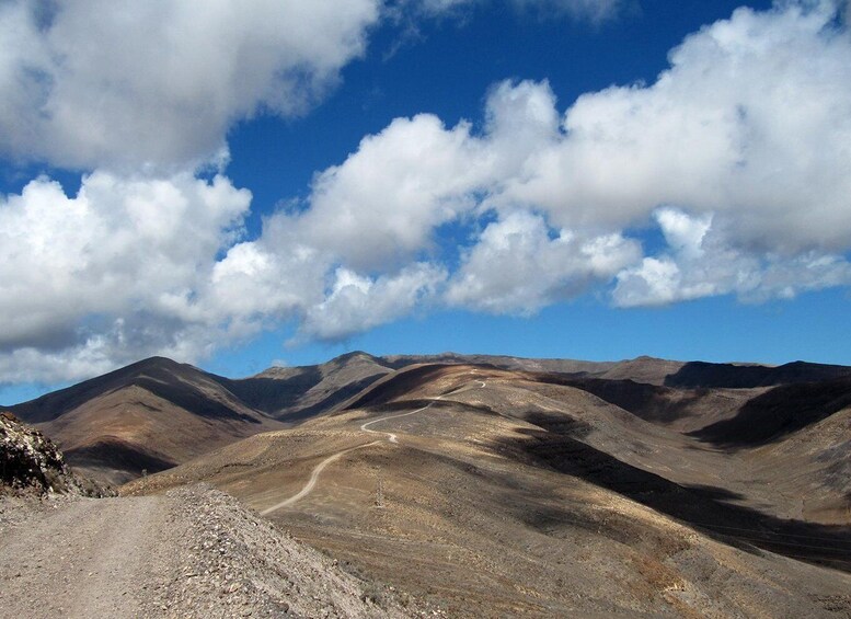 Picture 2 for Activity Fuerteventura: Pico de la Zarza Tour