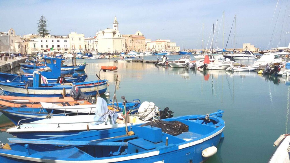 Picture 20 for Activity Trani: Private Walking Tour