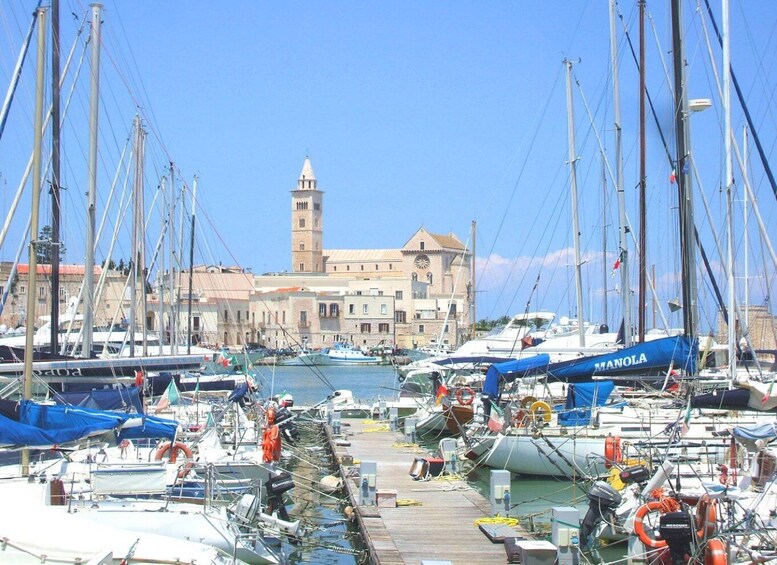 Picture 18 for Activity Trani: Private Walking Tour