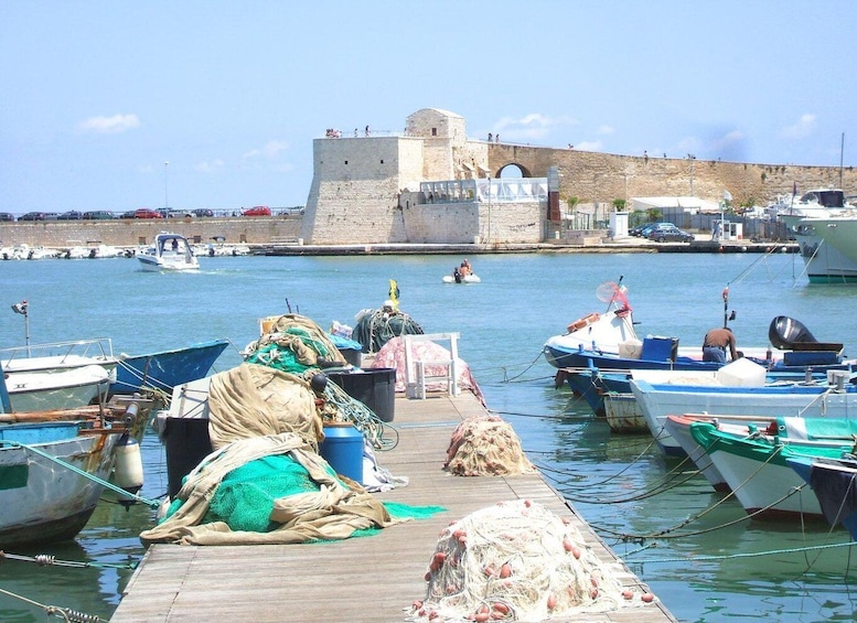 Picture 4 for Activity Trani: Private Walking Tour