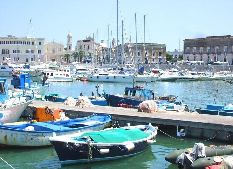 Picture 11 for Activity Trani: Private Walking Tour