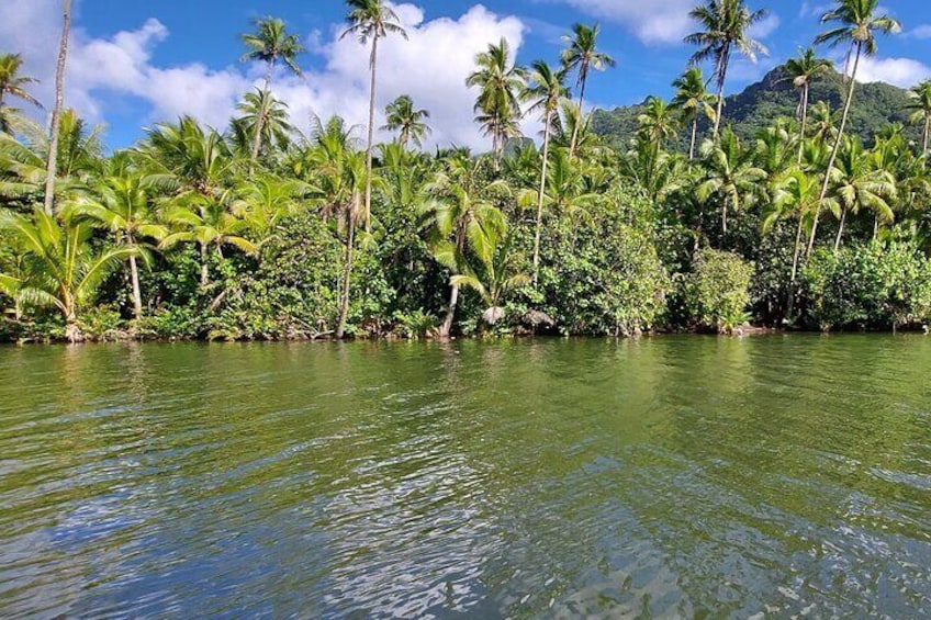 1/2 day “Treasures of Raiata” by boat – ideal for cruise passengers