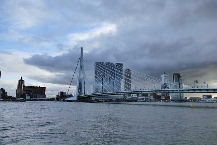 Private walking city tour in Rotterdam