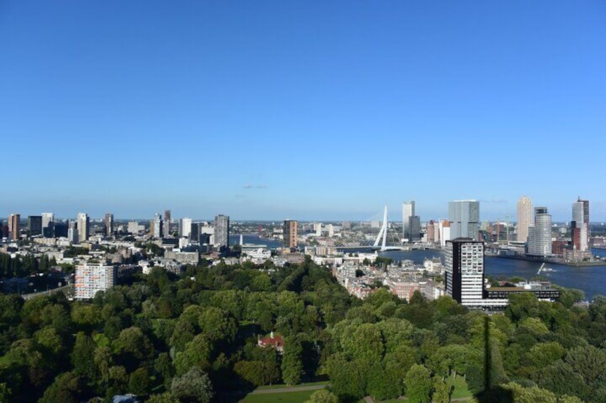 Rotterdam skyline