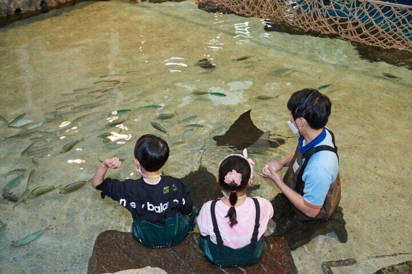 Discounted Entry Ticket for Gwanggyo Aqua Planet