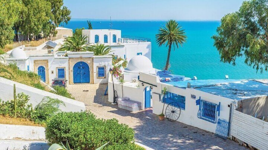 Half a day in Sidi Bousaid from Hammamet
