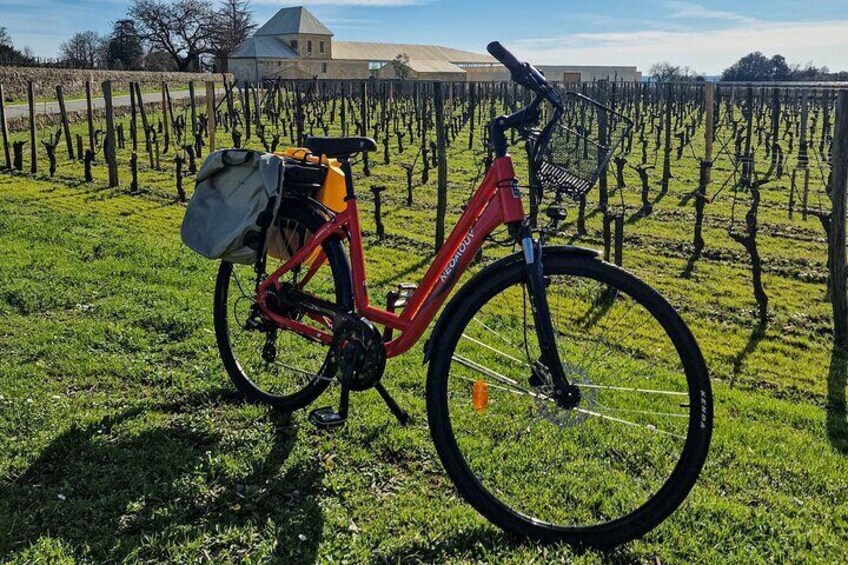 Saint Emilion Half Day Ebike and Wine Tour with Picnic Dinner