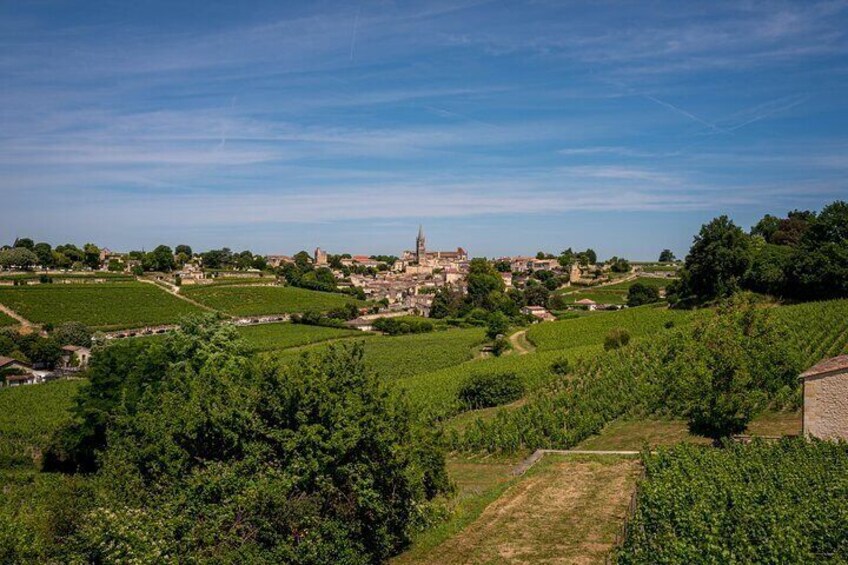 Saint Emilion Half Day Ebike and Wine Tour with Picnic Dinner