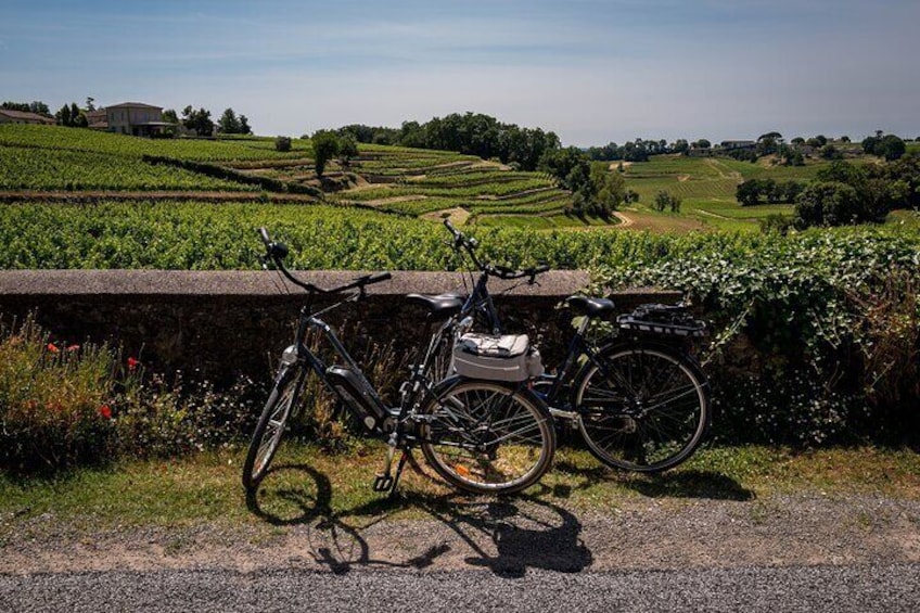 Saint Emilion Half Day Ebike and Wine Tour with Picnic Dinner