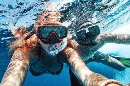 Snorkel Cruise with BBQ Lunch and Open Bar