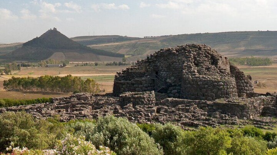 Barumini Su Nuraxi and Casa Zapata Tour Entrance fees included