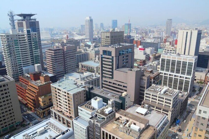 3 Hours Private Tour in Kobe with a Local Guide