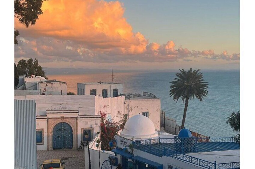 Guided : Tunis Carthage, Blue White Sidi BouSaid, Medina(Markets)