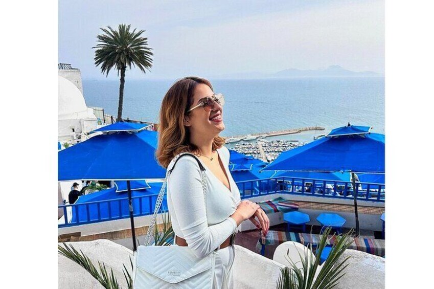 Fun VIP Tour: Tunis, Sidi Bou Said, Carthage | PICKUP ALL CITIES!