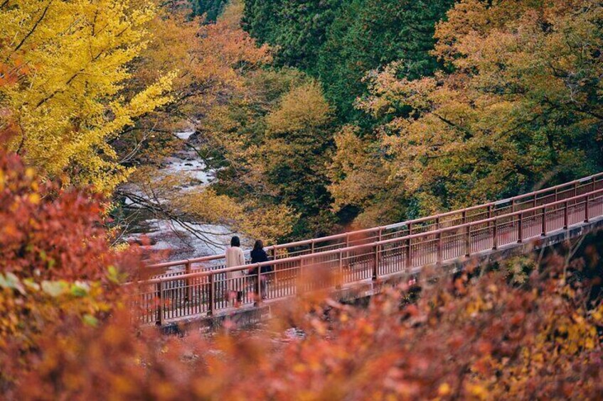 Among them is a suspension bridge known for its autumn foliage. After parking your bicycle nearby and walking across this bridge, you'll pass through a forest path to arrive at the hot springs.