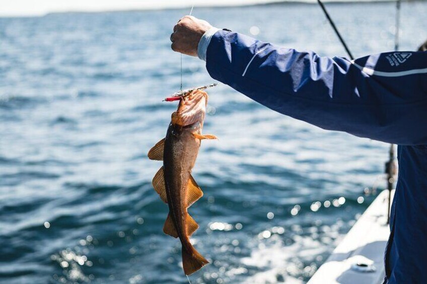 2 Hour Fishing Experience in Halifax