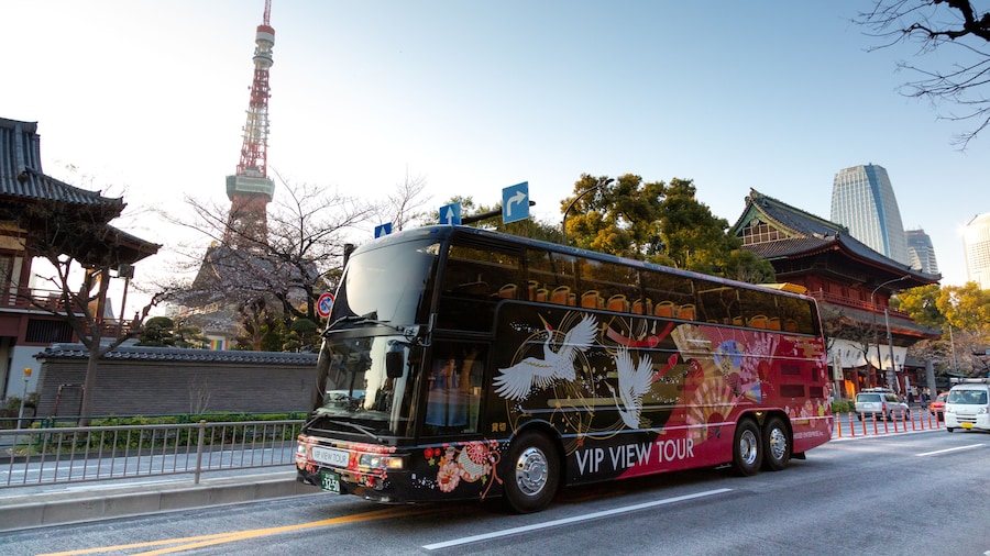 Tokyo: 70 min. Open Top Sightseeing Bus Ride with Audio Guide