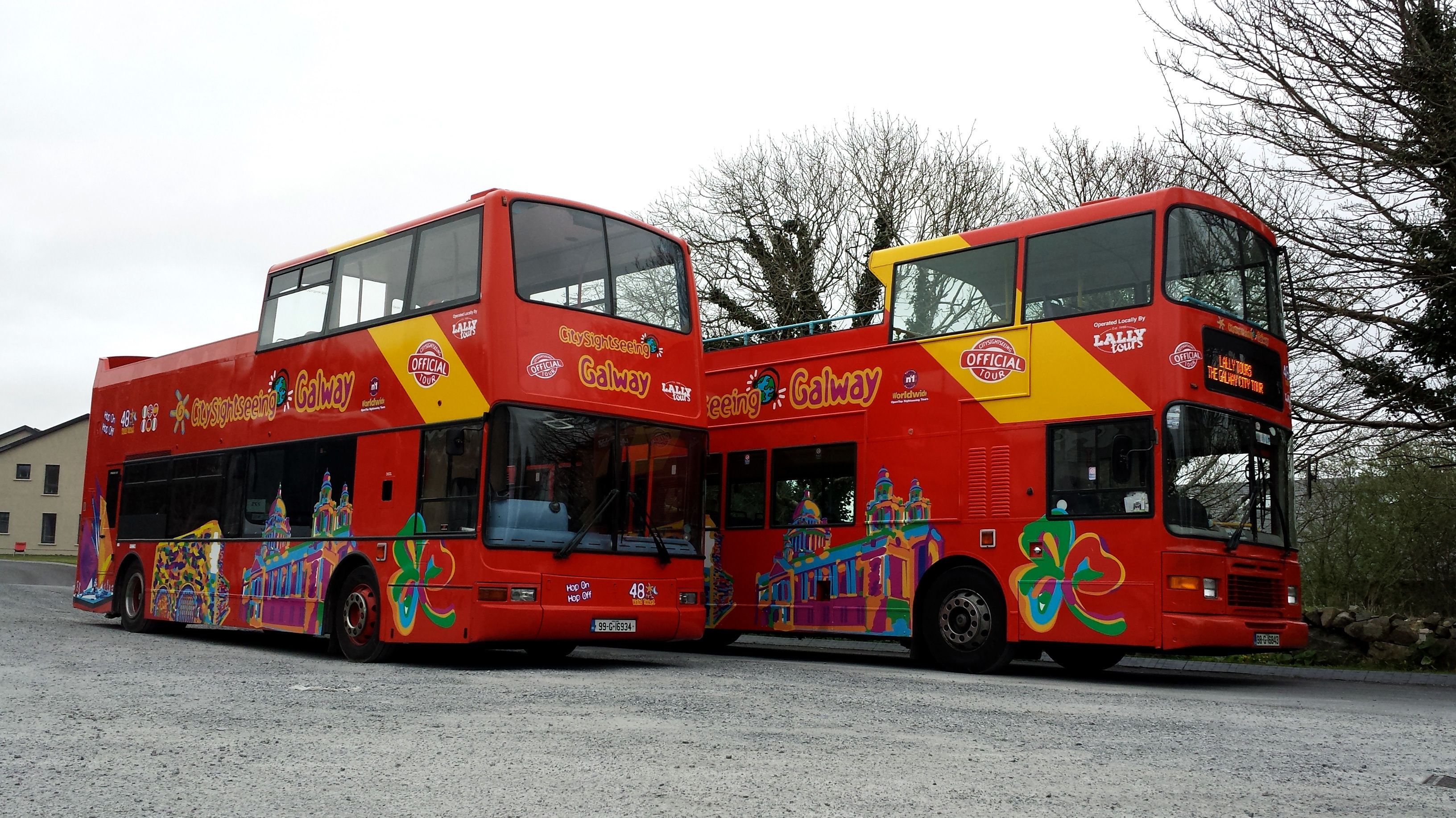 sightseeing tour bus galway