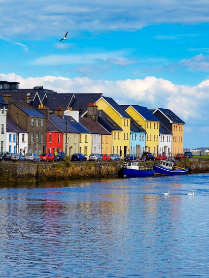 Galway Hop-On Hop-Off Bus Tour