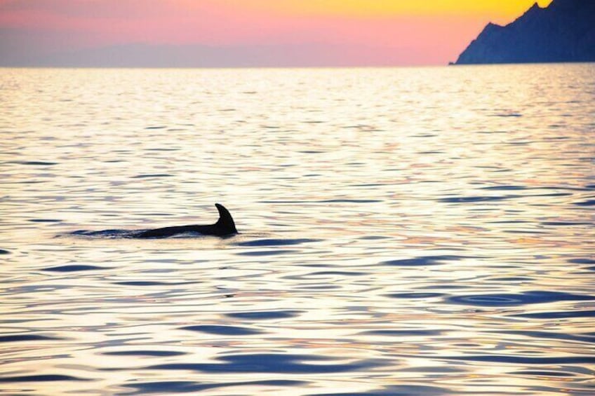 Cinque Terre Sunset Cruise with Aperitif