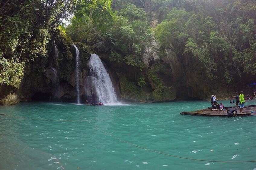 Oslob Whale Shark Watching + Kawasan Falls Day Tour