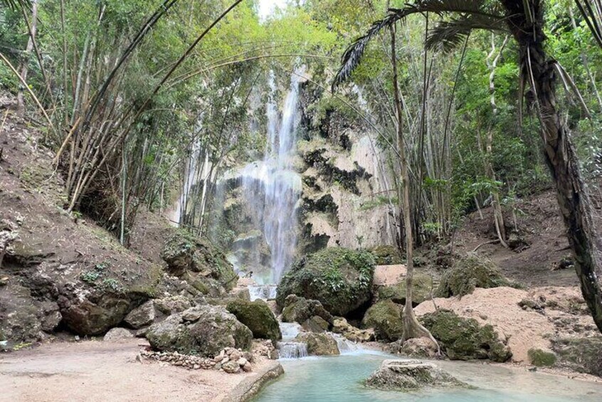 Oslob Whale Shark Watching + Kawasan Falls Day Tour