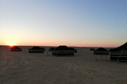 Desert Overnight in Rub Al Khali