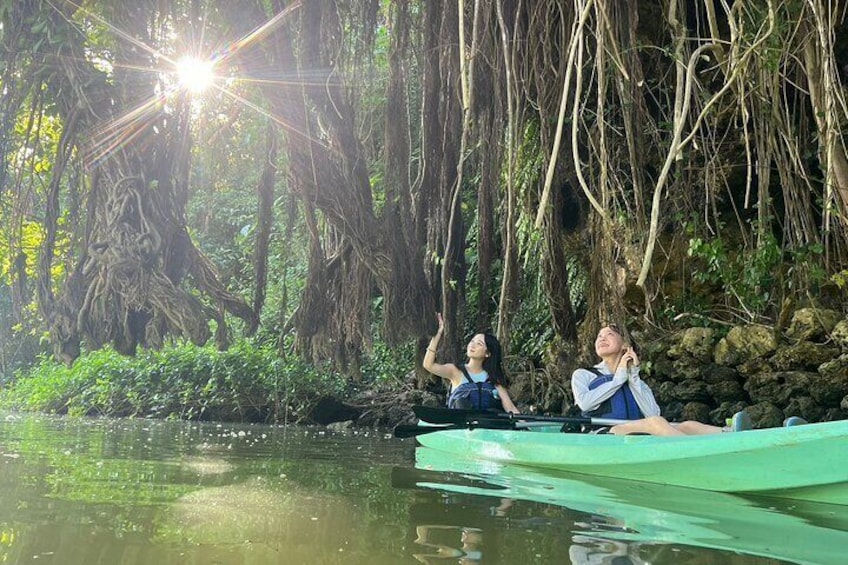 Mangrove Kayak ＆ Sea Fishing Experience in Okinawa