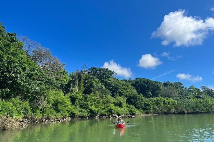 Mangrove Kayak ＆ Sea Fishing Experience in Okinawa