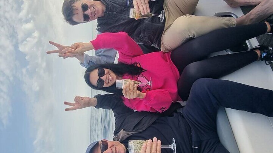 Marbella sailboat rental, dolphins, drinks and snacks -3 hours