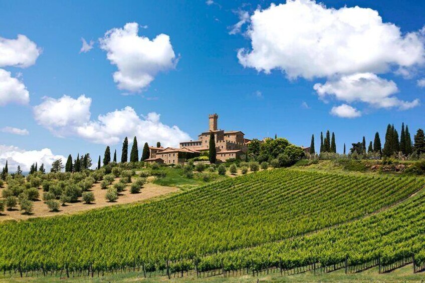 Etruscans, Pitigliano, Orvieto, and Wine tasting Private Tour