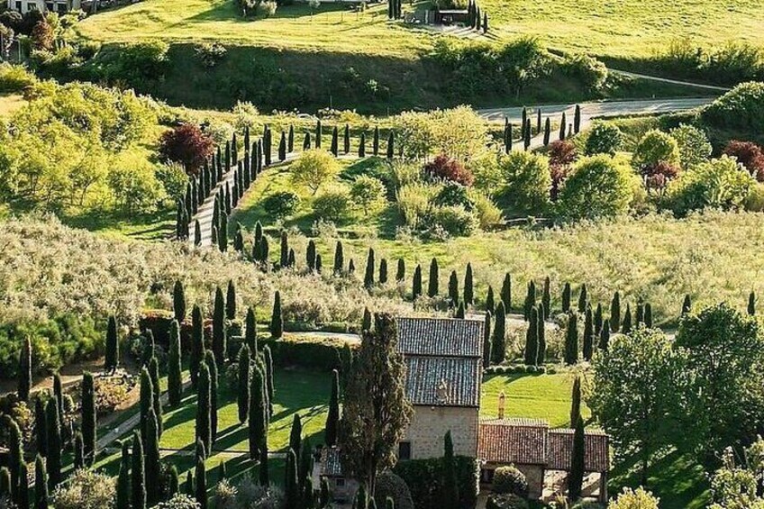 Etruscans, Pitigliano, Orvieto, and Wine tasting Private Tour