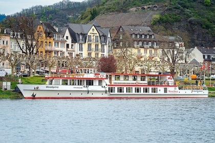 Cochem 1-Hour Sightseeing Cruise