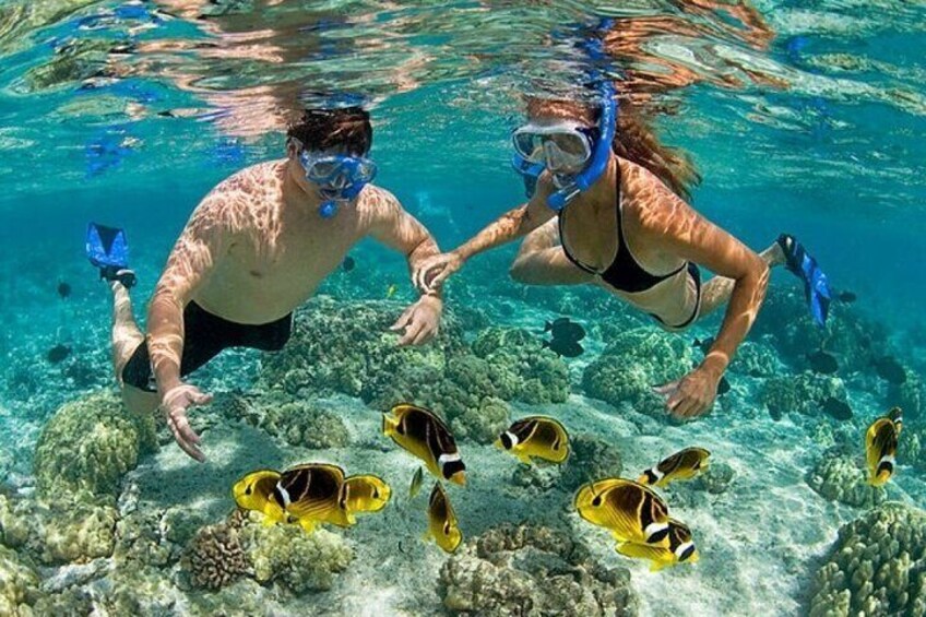 Private Speed Boat Experience with Snorkeling in Punta Cana