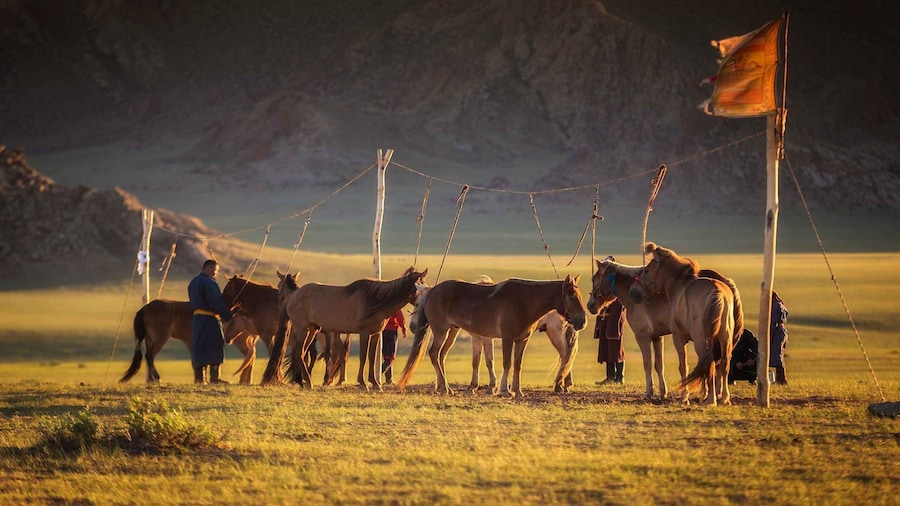 From Ulaanbaatar: Day Trip to Hustai National Park