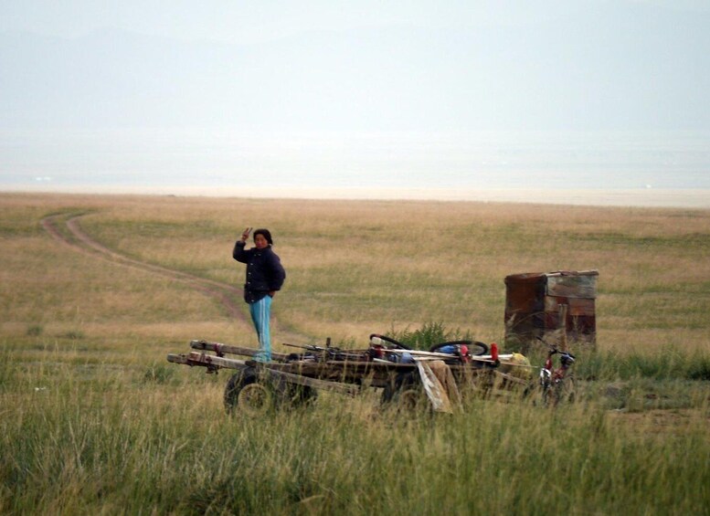 Picture 8 for Activity From Ulaanbaatar: Day Trip to Hustai National Park