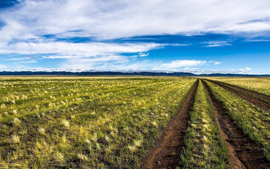 Picture 5 for Activity From Ulaanbaatar: Day Trip to Hustai National Park