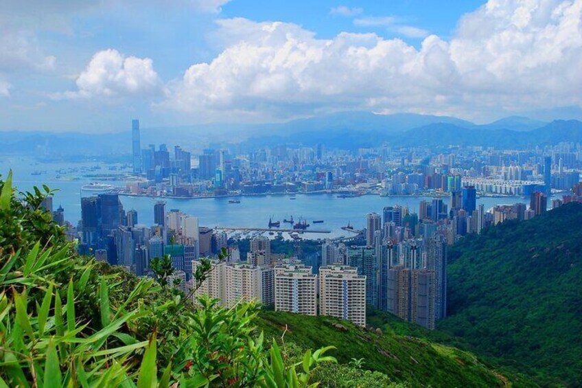 Hong Kong : Must-See Private Walking Tour